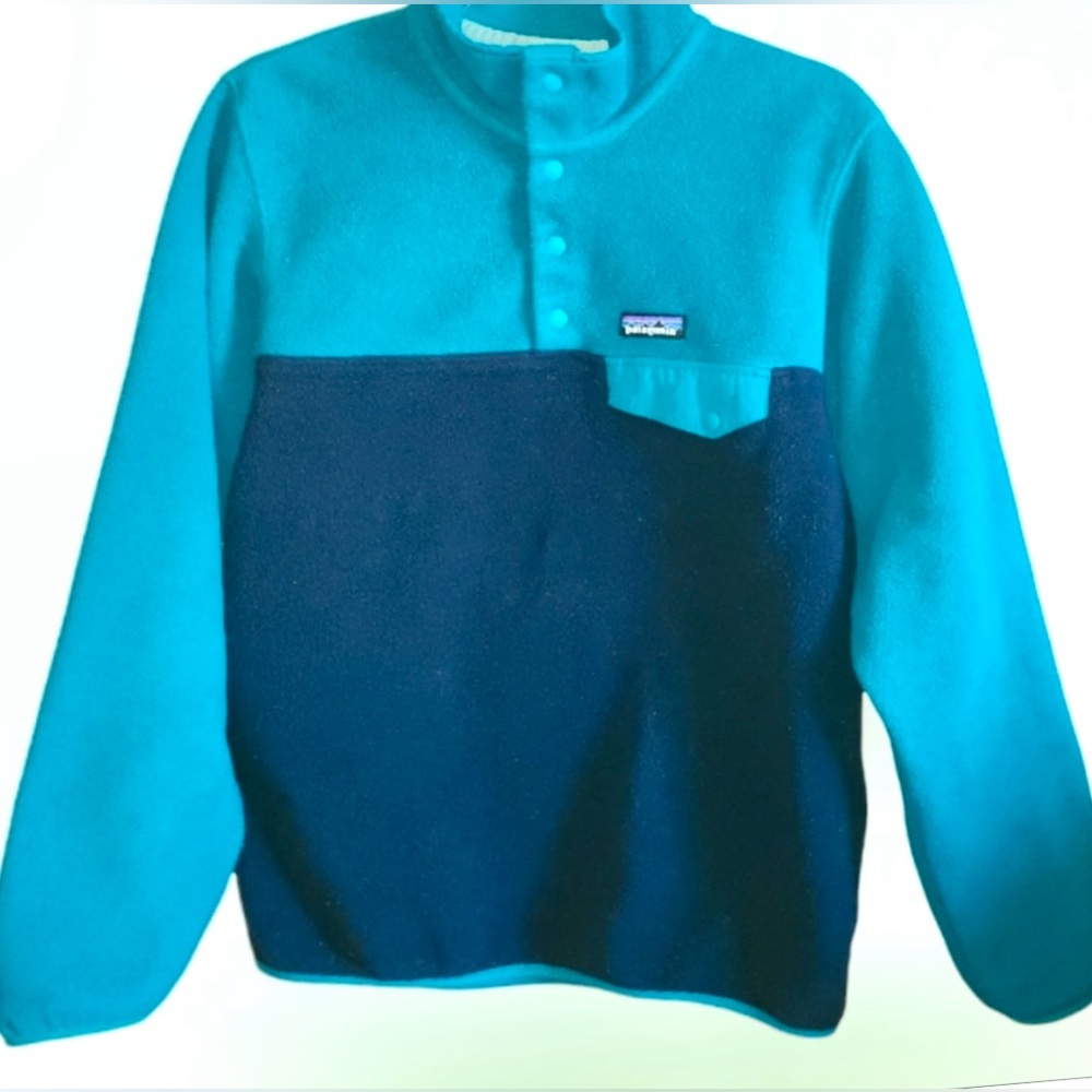 Patagonia Synchilla T Snap Pullover